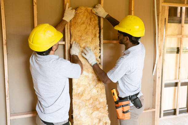 Types of Insulation We Offer in Hickam Housing, HI